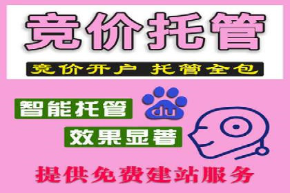 网络推广竞价策略：看IT行业如何玩转广告